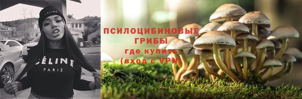 бутират Богородицк