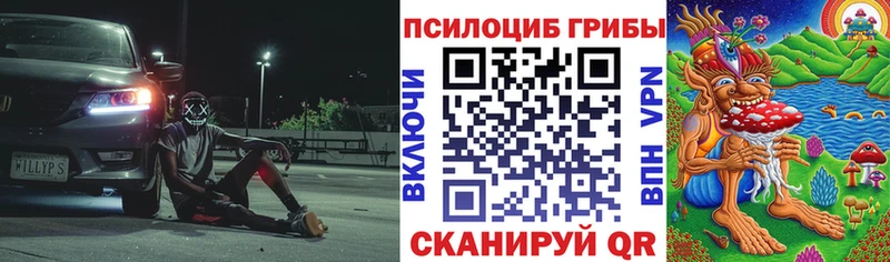 купить закладку  Лесосибирск  Галлюциногенные грибы мицелий 
